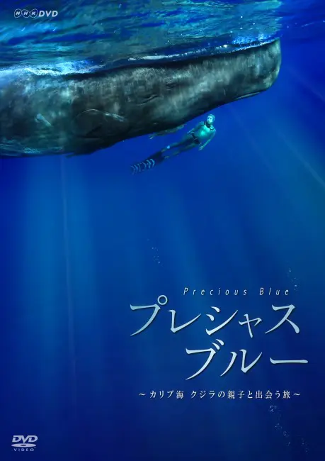 プレシャス・ブルー カリブ海・クジラの親子と出会う旅 [DVD]トピックス | 映像制作会社 千代田ラフト テレビ・動画制作・企業ＶＰ