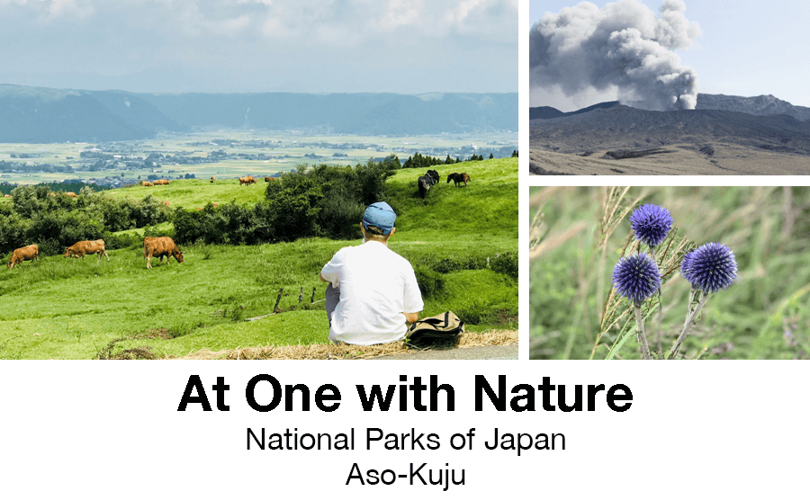 日本の国立公園の魅力を紹介！ At One with Nature ~National Parks of